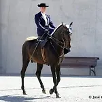 Casa Fernando Casquinha 아파트 발라프란카데지라