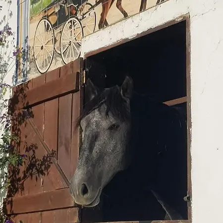 Casa Fernando Casquinha *