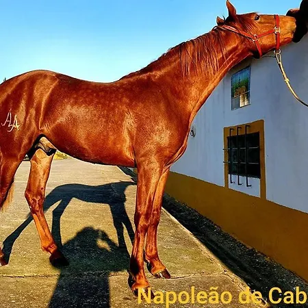 דירה Casa Fernando Casquinha